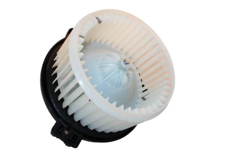 Image of Blower motor WALKER WBL00871