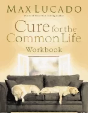 Image of cure for the common life workbook
