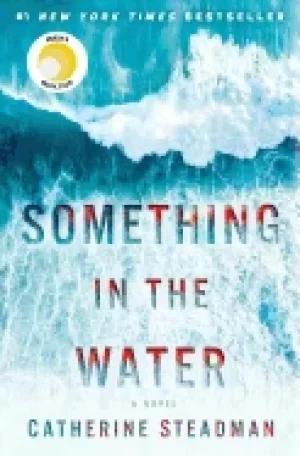 Image of something in the water a novel