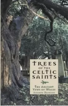 Image of Trees of the Celtic Saints The Ancient Yews of Wales