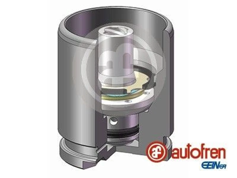 Image of AUTOFREN SEINSA Brake caliper piston AUTOFREN SEINSA D025126K