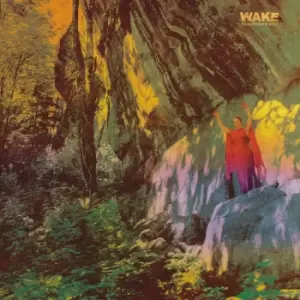 image of WAKE Thought form descent CD multicolor