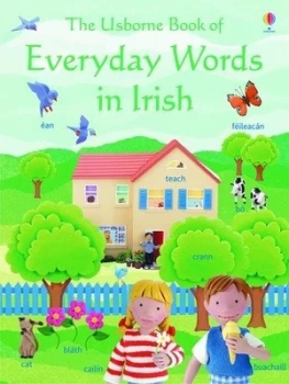 Image of The Usborne Book of Everyday Words in Irish by Jo Litchfield and Rebecca Treays and Kate Needham and Laure Delrue-Vandenbulcke Paperback