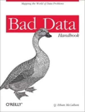 Image of bad data handbook cleaning up the data so you can get back to work