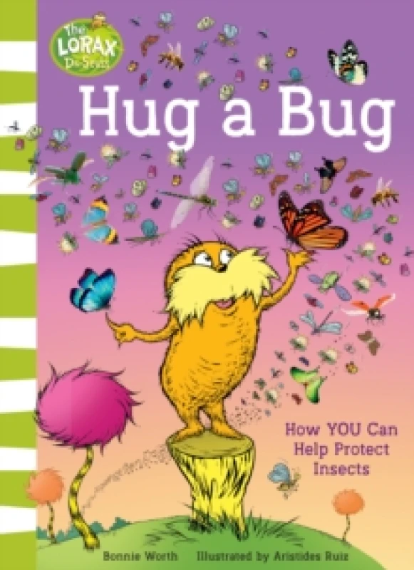 Image of Hug a Bug : How You Can Help Protect Insects Paperback / softback
