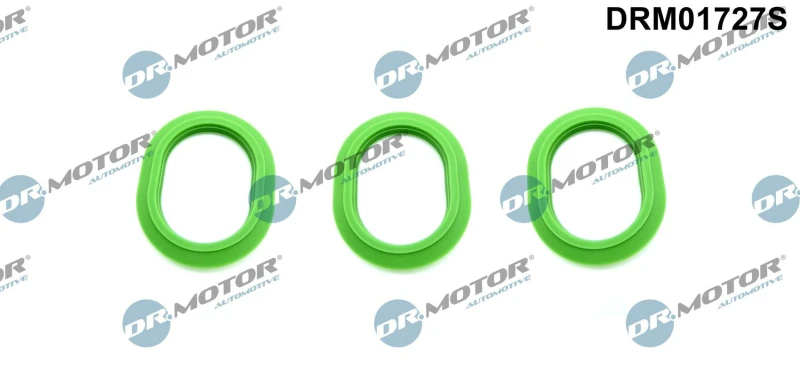 Image of DR.MOTOR AUTOMOTIVE Gasket Set, intake manifold DR.MOTOR AUTOMOTIVE DRM01727S