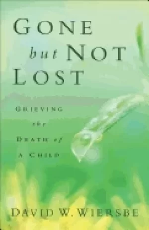 Image of gone but not lost rev and updated ed grieving the death of a child