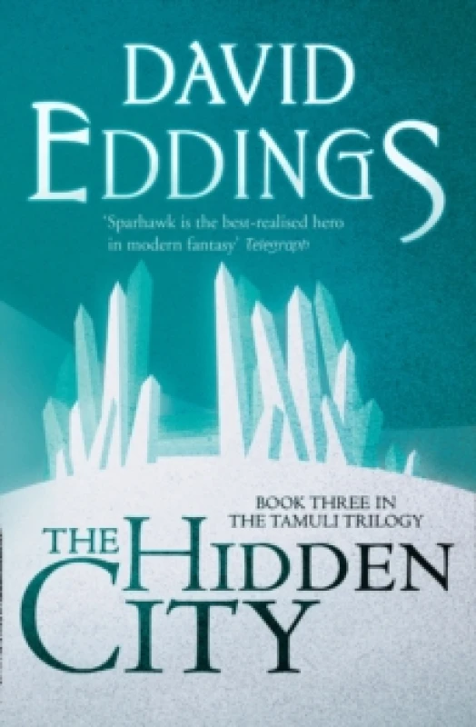 Image of The Hidden City Paperback / softback