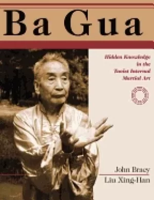 Image of ba gua hidden knowledge in the taoist internal martial art