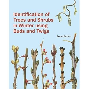 Image of Identification of Trees and Shrubs in Winter Using Buds and Twigs Hardback 2018