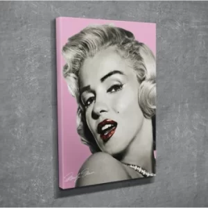 Image of DC221 Multicolor Decorative Canvas Painting