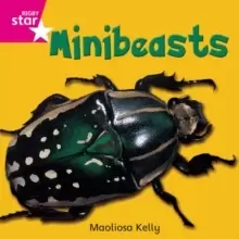Image of Rigby Star Independent Pink Reader 2 Minibeasts