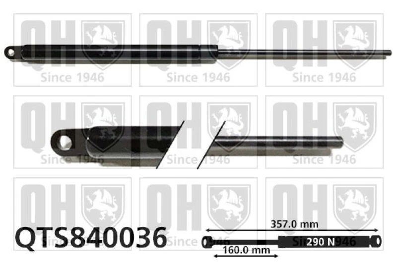 Image of QUINTON HAZELL Tailgate strut QUINTON HAZELL QTS840036