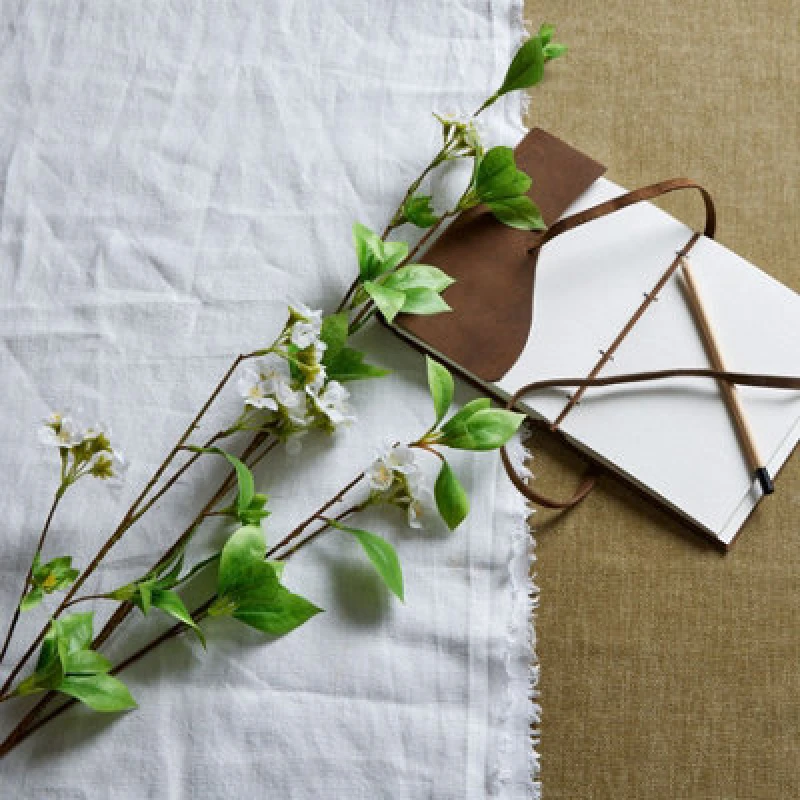 Image of Tall Mock Orange Spray