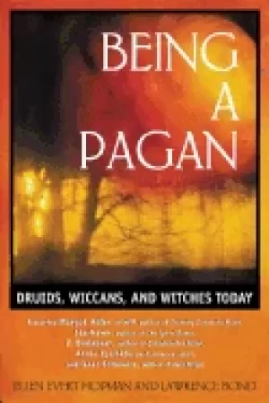Image of being a pagan druids wiccans and witches today