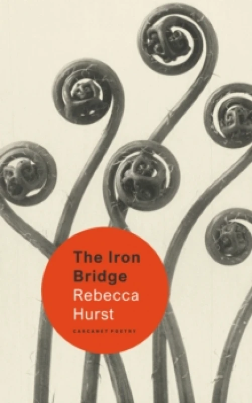 Image of The Iron Bridge Paperback / softback