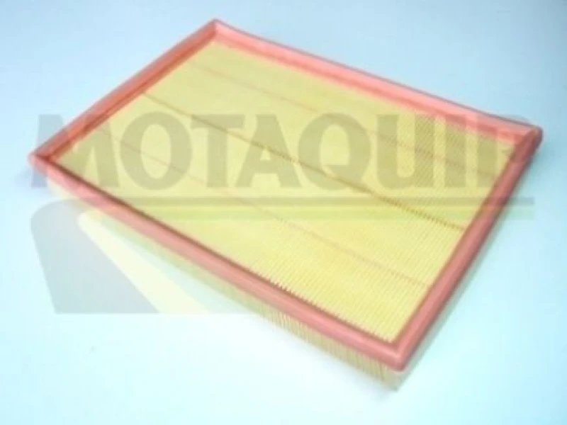 Image of MOTAQUIP Air filter MOTAQUIP VFA55