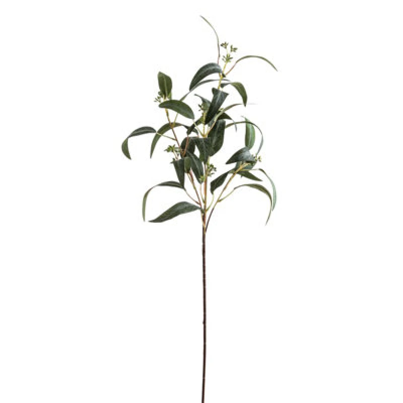 Image of Seeded Eucalyptus Spray