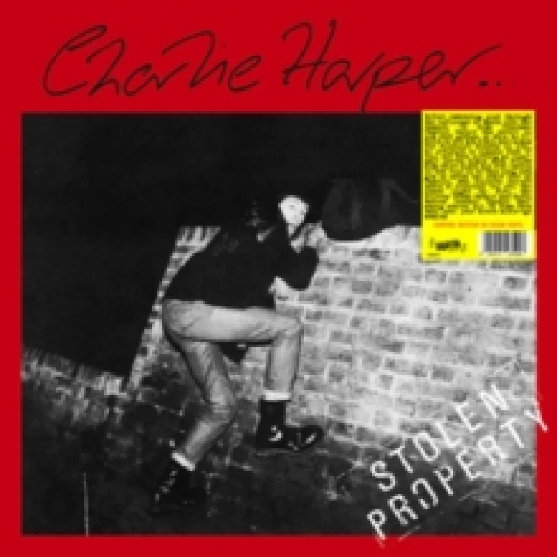 Image of Stolen Property Vinyl