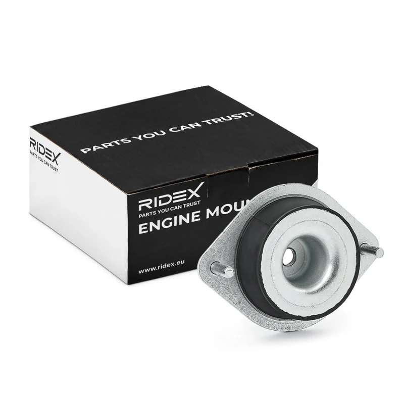 Image of RIDEX Engine mount RIDEX 247E0725