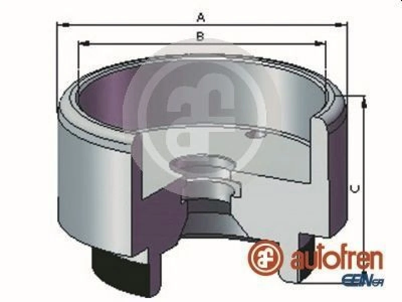 Image of AUTOFREN SEINSA Brake caliper piston AUTOFREN SEINSA D025721