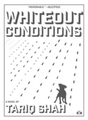 Image of whiteout conditions