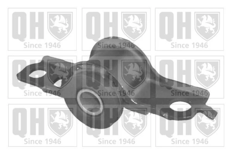 Image of QUINTON HAZELL Trailing arm / Suspension arm bush QUINTON HAZELL EMS8162