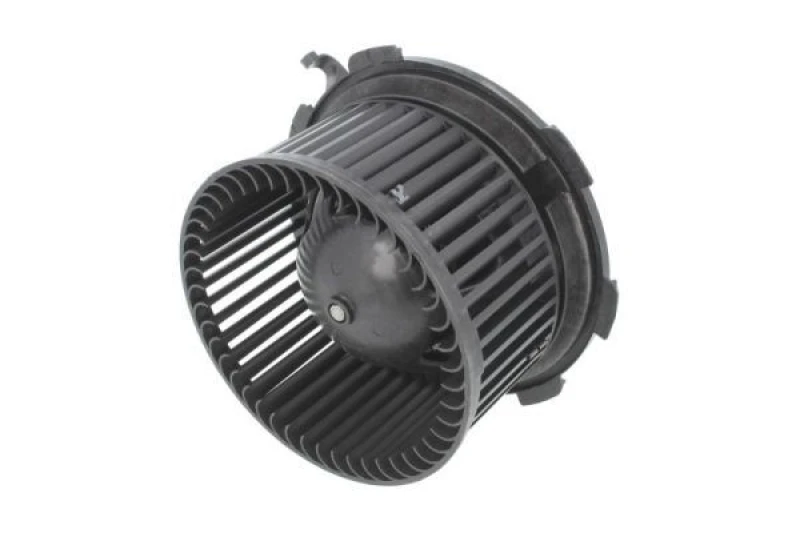 Image of THERMOTEC Blower motor THERMOTEC DDM026TT