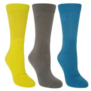 image of Dare 2b Essentials Sports Sock (3 Pack) - FjordBl/Agve