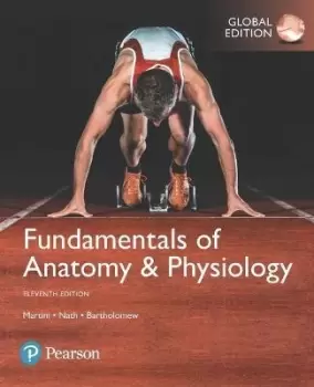 Image of Fundamentals of Anatomy & Physiology, Global by Frederic Martini