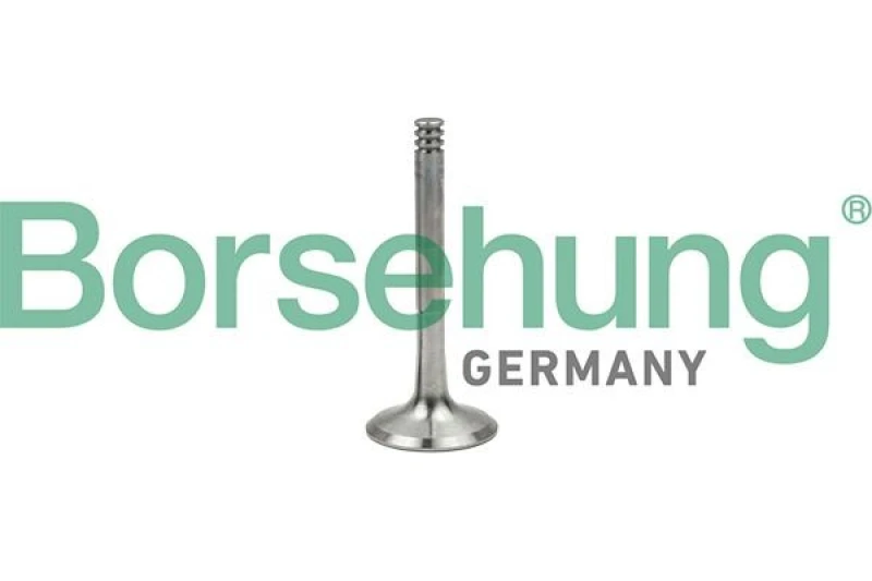 Image of Borsehung Exhaust valve Borsehung B18997