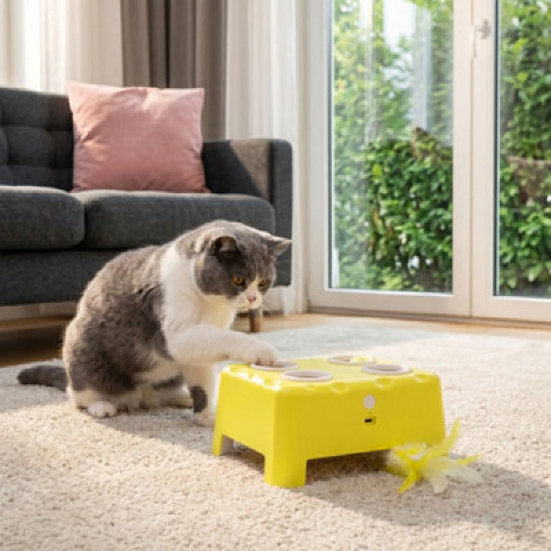 Image of Pawhut Interactive Cat Toys For Indoor Kittens & Adult Cats Rechargeable