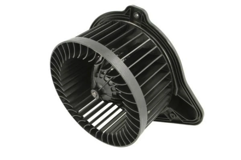 Image of THERMOTEC Blower motor THERMOTEC DDV004TT