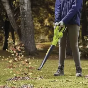 Image of 20v Leaf Blower