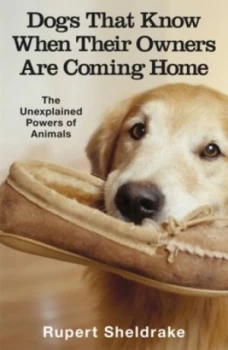 Image of Dogs That Know When Their Owners Are Coming Home by Rupert Sheldrake Paperback