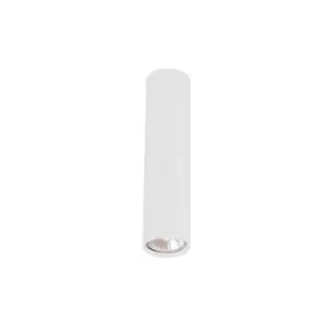 Image of Samokov Surface Mounted Ceiling Lamp 1 Light LED Steel White