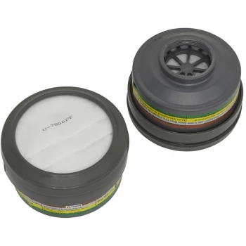 Image of 9363 ABEK1 P2R Cartridge - Pack of 2 - Worksafe