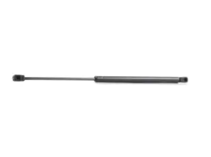 Image of RIDEX Tailgate strut FIAT 219G0185 46827091