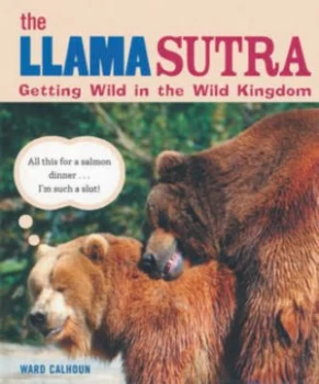 Image of The Llama Sutra by Ward Calhoun Book