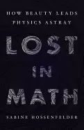 Image of lost in math how beauty leads physics astray
