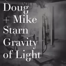 Image of Doug and Mike Starn : Gravity of Light