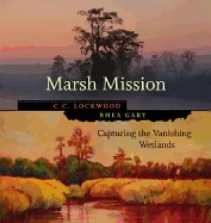 Image of marsh mission capturing the vanishing wetlands