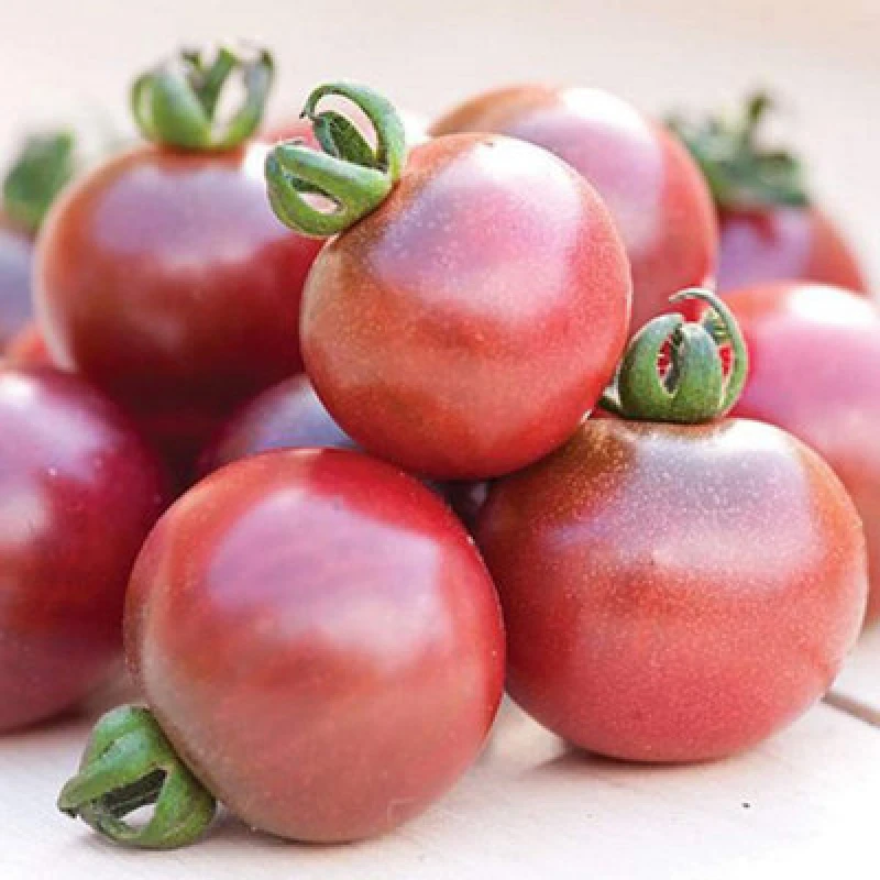 Image of Thompson & Morgan Tomato Rosella F1 Hybrid 1 Seed Packet
