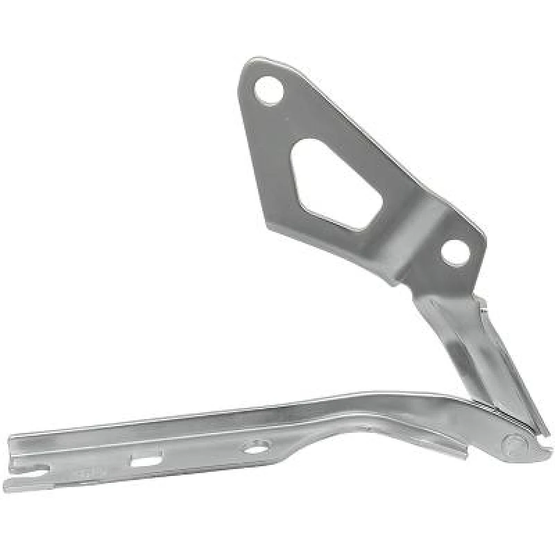 Image of Hinge, bonnet DIEDERICHS 2256019
