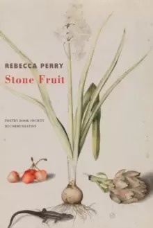 Image of Stone Fruit