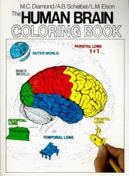 Image of The Human Brain Coloring Book by Marian C Diamond Paperback
