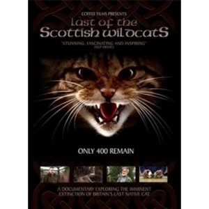 Image of Last Of The Scottish Wildcats DVD