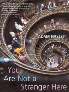 Image of You Are Not a Stranger Here by Adam Haslett Paperback