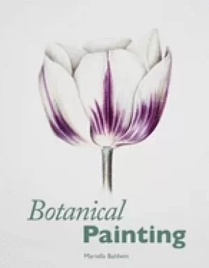 Image of botanical painting baldwin mariella