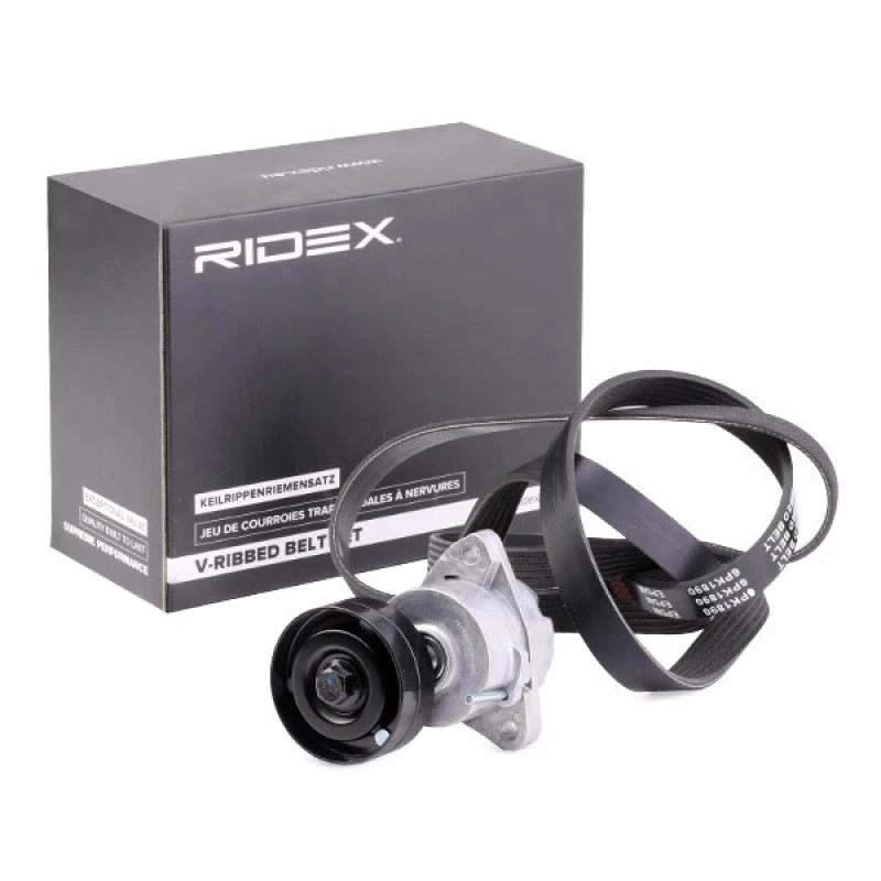 Image of RIDEX 542R0671 V-ribbed belt set V-Ribbed Belt Set (542)